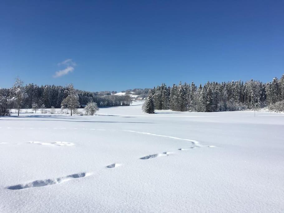 Fritzis Alpenidyll „sommertraum & Winterromantik” Apartment Samerberg