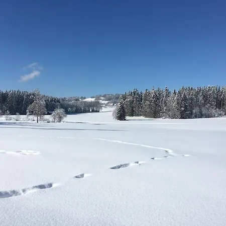 Fritzis Alpenidyll „Sommertraum&Winterromantik” Samerberg Exterior foto