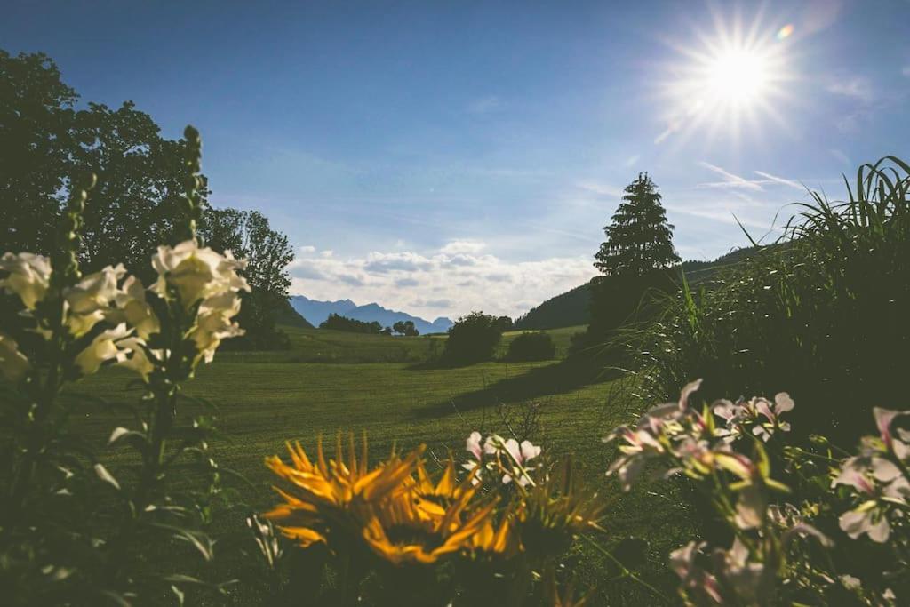 Apartment Fritzis Alpenidyll „sommertraum&winterromantik” Samerberg
